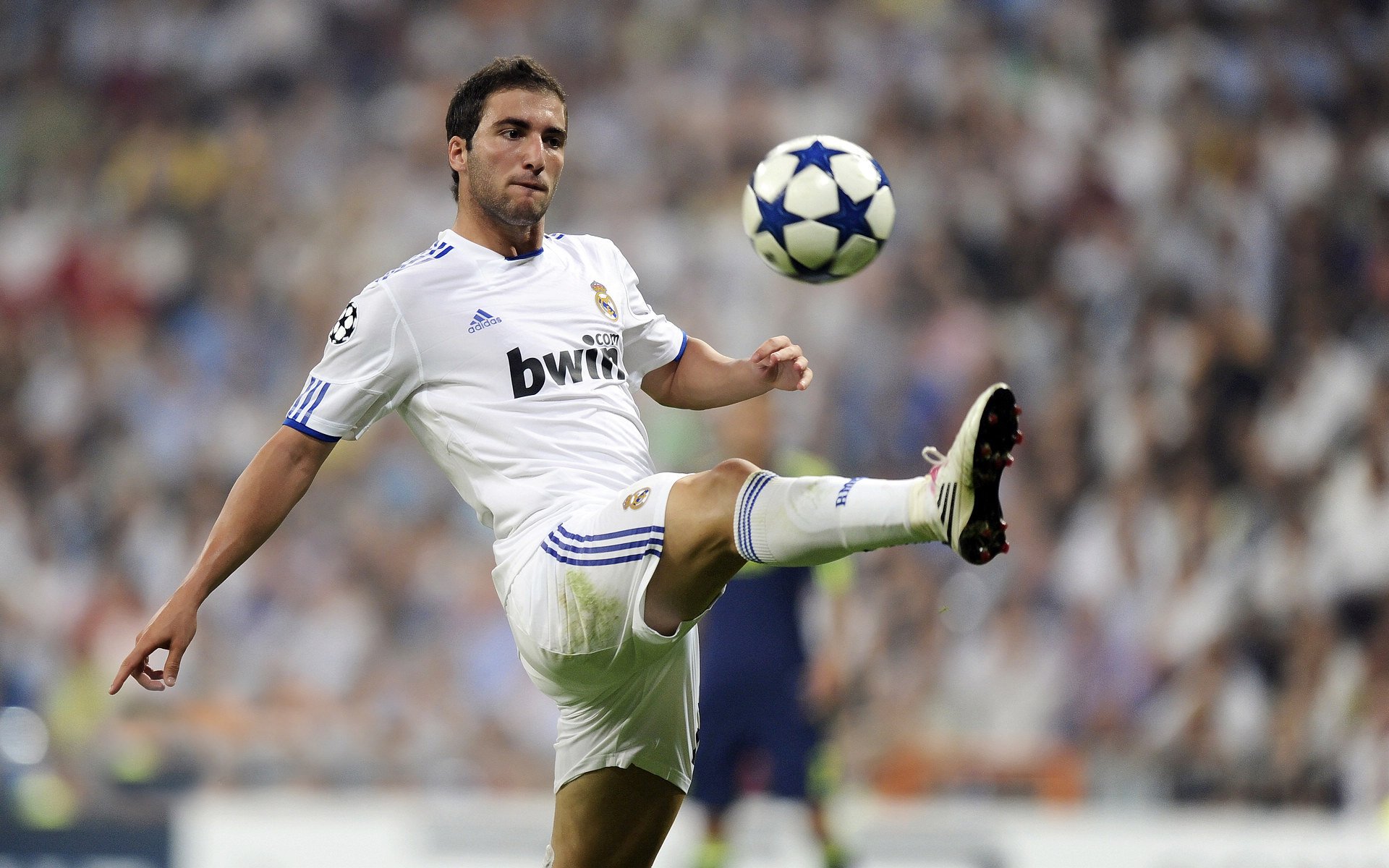 九游游戏-深圳队稳稳拿下热火，霍勒迪用实力证明自己